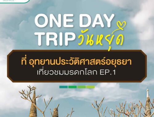 ONE DAY TRIP AT THE WORLD HERITAGE SITES IN AYUTTHAYA EP1
